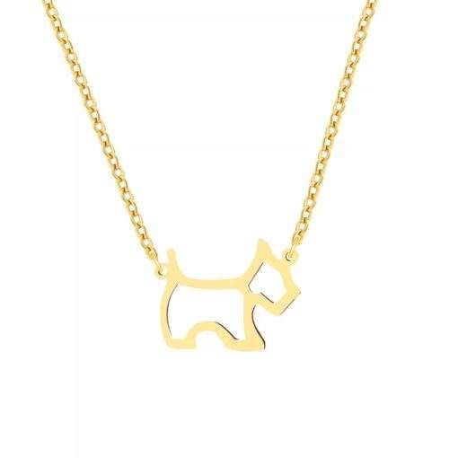 collier chien